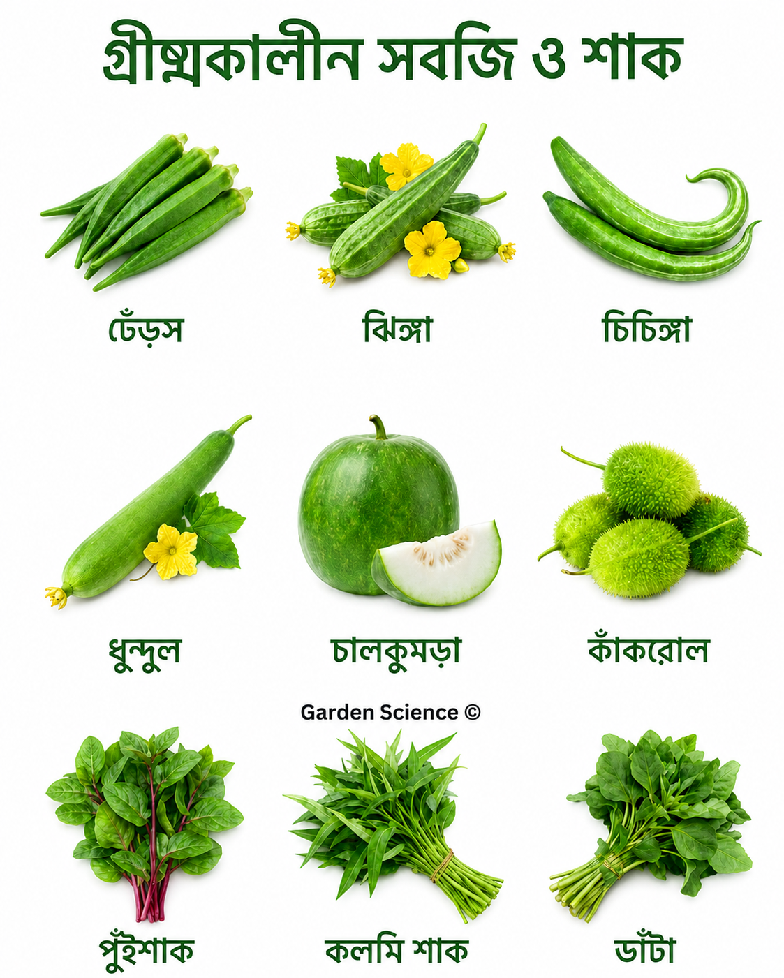 গ্রীষ্মকালীন সবজি ও শাক