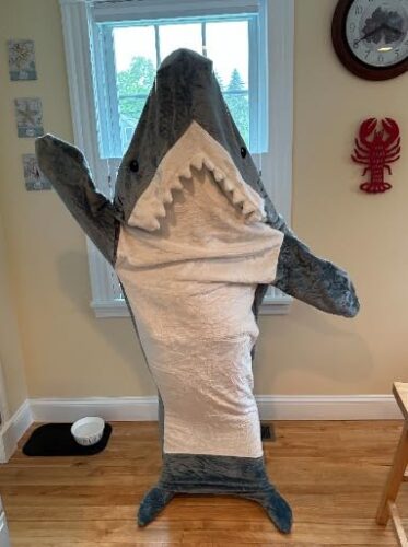 SharkBlanky™ photo review